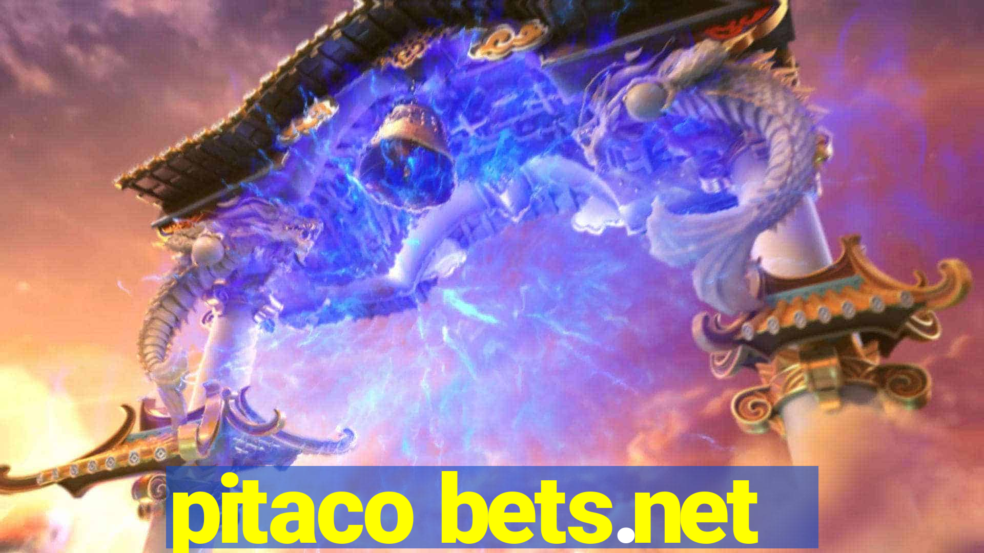 pitaco bets.net